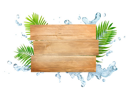 wooden sign with palm leaves and water splashes on a white isolated backgroundの写真素材