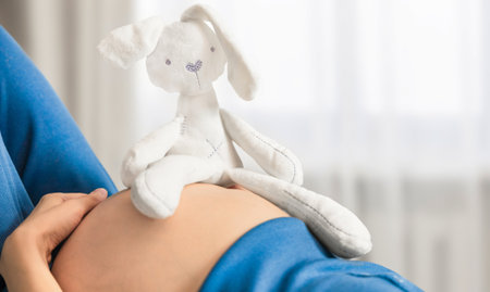 soft toy hare on pregnant woman's bellyの写真素材