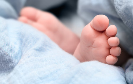 tiny baby feet wrapped in a blue blanketの写真素材