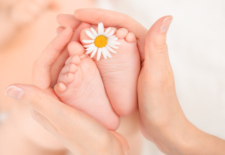 baby feet with chamomile in mother's hands, baby care conceptの写真素材