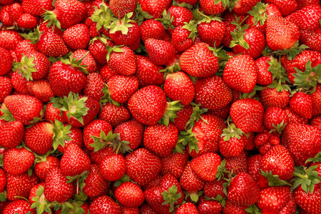 background of ripe strawberries, top viewの写真素材