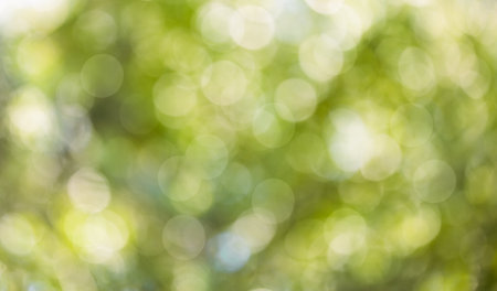 blurred nature background with bokeh for overlayの写真素材