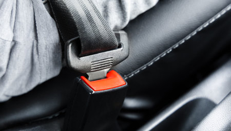 fastened seat belt in a carの写真素材