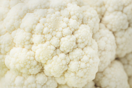background of white cauliflower inflorescences close-upの写真素材