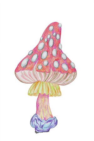 Mushroom from the magic forestのeditorial素材