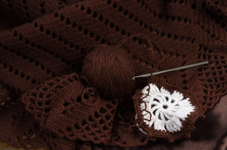 Crochet brown wool yarn. Skein of yarn and crochet hook.