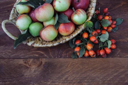 Wicker basket with juicy, ripe, sweet red and green apples with green leaves for decoration and branches with fruits of rose hips top view with empty space at the bottom for textの写真素材