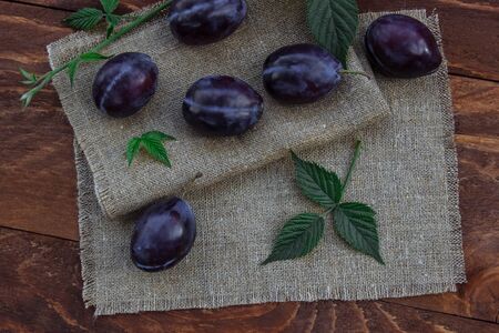 Ripe, juicy sweet blue plums on the brown wooden table and linen tablecloth in the kitchen with green leaves to decorate the view from the topの写真素材