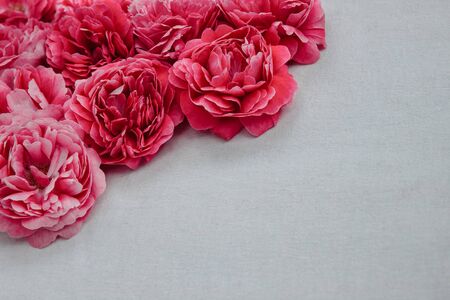 Frame of a bouquet of pink roses in the corner on a white cloth with free space for textの写真素材