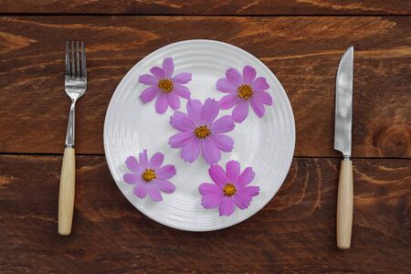 Pink Daisy flowers in a white plate with a fork and knife on a brown wooden background top viewの写真素材