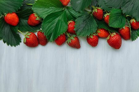 Frame of green leaves and red, ripe and juicy strawberries on a white wooden background close-up with an empty space for textの写真素材