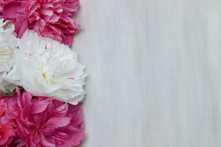 Frame of white and pink peony flowers on a white wooden background close up with an empty space for textの写真素材