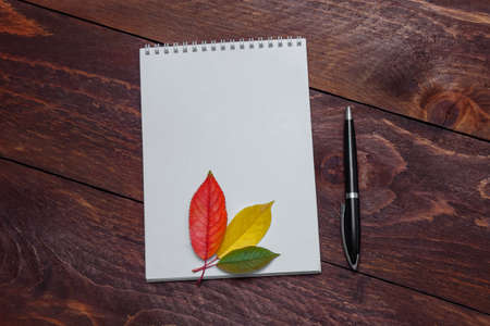 White empty paper notebook with spiral on brown wooden background with black handle and red yellow and green autumn leaves top view with empty space for text, back to school concept, letter, greetingの写真素材