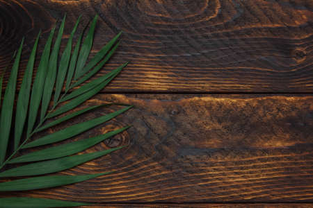 Green palm leaf close-up on a brown wooden vintage background, copy space, flatlay, the concept of an organic product advertising template, design elements of a tropical summer exotic coverの写真素材