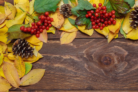 Frame of yellow and green autumn leaves with red viburnum berries and pine cones on a brown wooden...