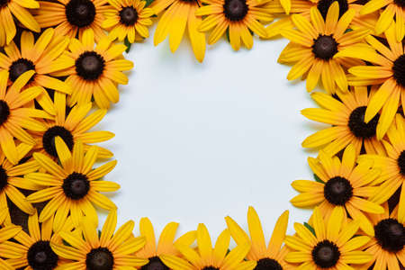 White paper card with frame of yellow flowers of sunflowers and echinacea close-up, flat lay, with empty space for text, copy space, greeting card concept, covers, labels for organic productsの写真素材