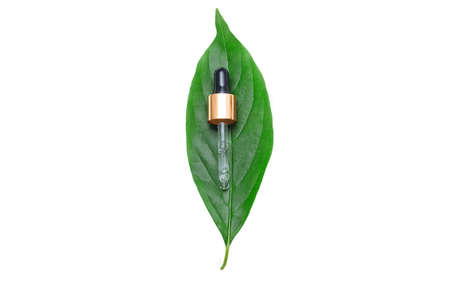 Cosmetic glass pipette with hyaluronic acid on green leaf close-up on white isolated background with empty space for text, copy space, facial and skin care concept, product advertising designの写真素材