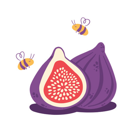 Fig fruit with bees flat vector, whole and cut fig composition isolated on whiteのイラスト素材