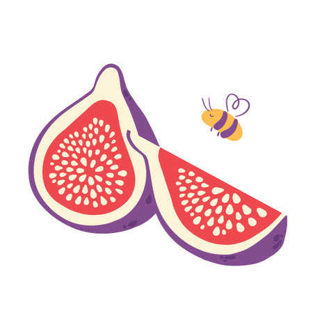 Fig fruit with bees flat vector, Sliced fig and cut fig composition isolated on white