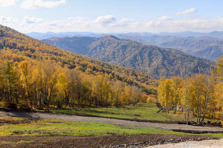 picturesque Altai nature, mountains and roads in autumn. Yellow foliage and blue sky, clouds. Travel, tourism in Russia, auto tourism, tours.の写真素材