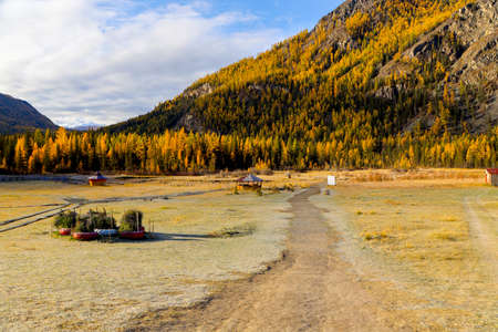 Picturesque mountain peaks, autumn trees in golden foliage, blue sky, colorful land, nature, rivers and roads in autumn. Travel, tourism in Russia, auto tourism, tours.の写真素材