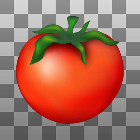 Vector illustration of red ripe tomato.のイラスト素材
