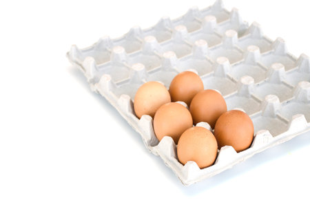 Isolated close-up six brown chicken eggs lie in a cardboard tray. Easter concept