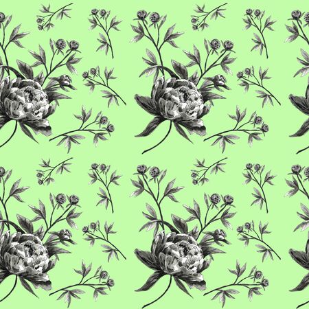 A seamless pattern of black and white bouquets of peonies on a colored backgroundの写真素材