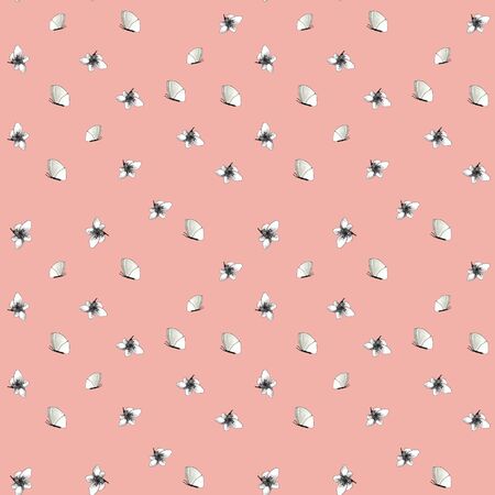 pattern of flowers and butterflies on a colored backgroundの写真素材