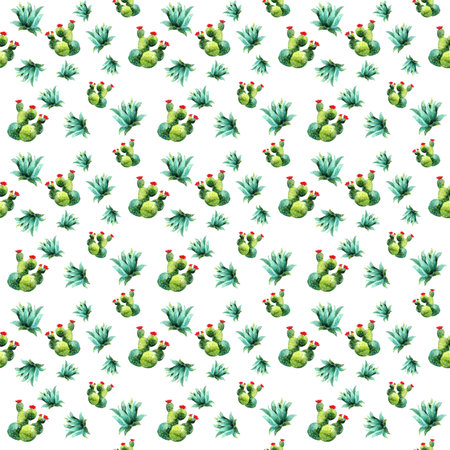 pattern of decorative succulents on a colored background