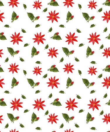 A seamless pattern with a floral pattern for decoration on a white backgroundの写真素材