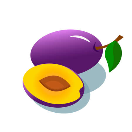 Plum for an iconのイラスト素材