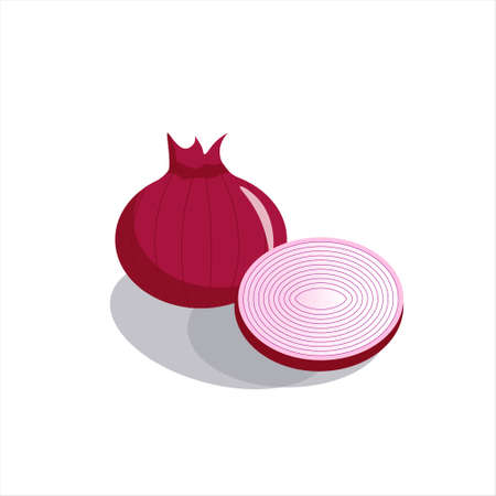 Onion. Illustration for logos and designs.のイラスト素材