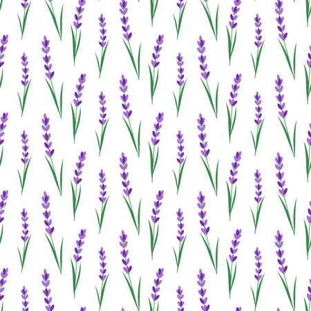 Pattern with lavender flowers. Vector illustration.のイラスト素材
