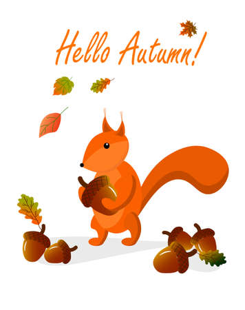 Autumn card with squirrel and acorns. Vector illustration.のイラスト素材