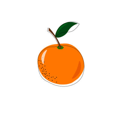 Fruit illustration with abstract orange. Isolated vector drawing.のイラスト素材