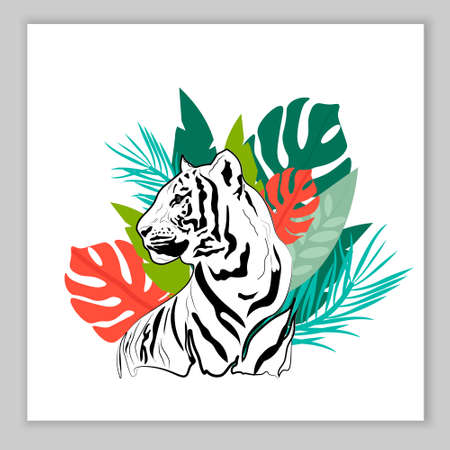 Card black and white tiger and palm leaves. Vector illustration.のイラスト素材
