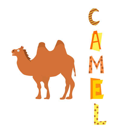 Camel card. Postcard template with lettering.のイラスト素材