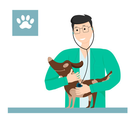 The doctor examines the puppy. Vector illustration. People and pets.のイラスト素材