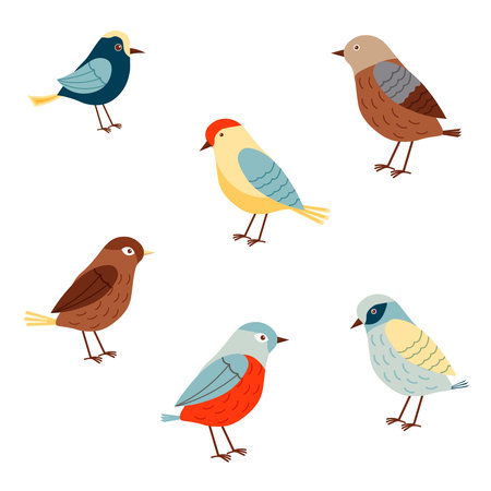 Set with colorful birds. Postcards with feathered animals. For postcards and decor.のイラスト素材