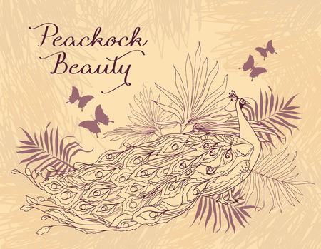 Beautiful peacock with palm leaves and butterflies, vector illustrationのイラスト素材