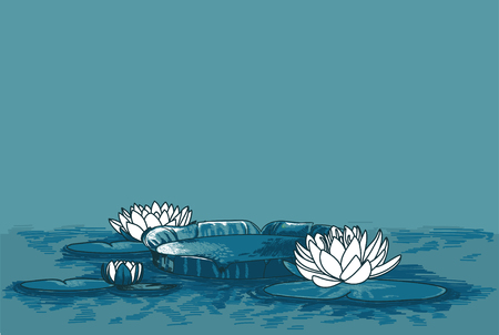poster with water lily in water and place for text, can be used as summer party invitation, sketch vector illustrationのイラスト素材