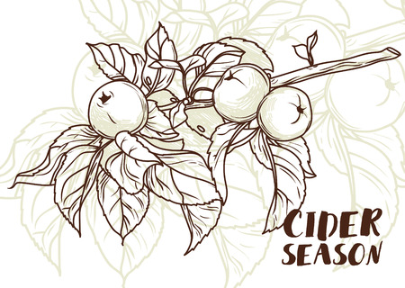 Poster for cider season with beautiful graphic branch of apple tree, vector illustrationのイラスト素材