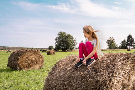 Cute girl sitting on a hay roll in summer field. Childhood conceptの写真素材