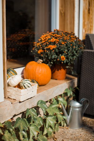 Decoration with a pumpkin by the window.の写真素材