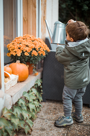Little helper in the gardenの写真素材