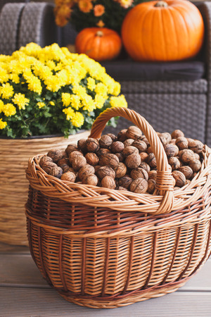 Large basket of freshly picked walnuts.の写真素材