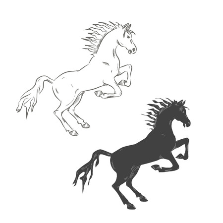 Vector illustration,  hand-drowing horse black and white.のイラスト素材