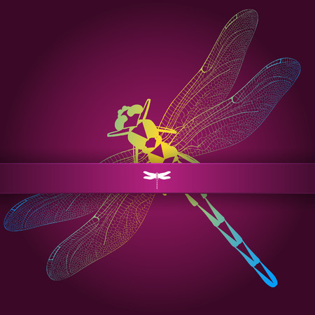 illustration, greeting card with colorful dragonfly.のイラスト素材
