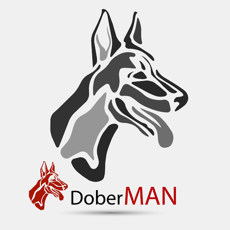 illustration, doberman head isolated on a gray background.のイラスト素材